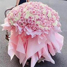 心動季節-520枝混搭玫瑰（160枝白玫瑰，360枝粉雪山玫瑰）花束