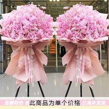 財若繁星-粉色滿天星豐滿，三腳架開業花籃