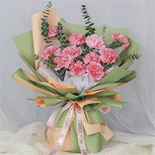春暉四方-11朵粉色康乃馨，搭配尤加利葉