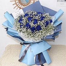 不期而遇-19枝藍色妖姬，搭配白色滿天星豐滿