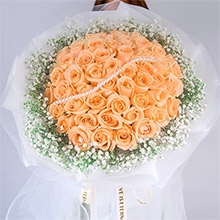 盡在不言中-52枝香檳玫瑰、外圍白色滿天星，1串珍珠