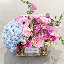 深情厚誼-11枝混搭粉玫瑰（戴安娜+蘇醒）、2朵藍(lán)色繡球、9朵粉色桔梗，6朵粉色扶郎花，搭配洋甘菊、尤加利、紅豆