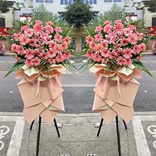 開業(yè)大旺-33朵粉色扶郎花、3朵粉百合，搭配散尾葵