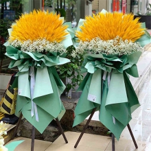 錦繡前程-約500支麥穗，外圍白色滿天星三腳架開業慶典花籃