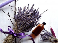 怎么制作鮮花標(biāo)本？家用鮮花標(biāo)本的6種DIY方法