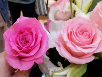 七夕想送花？先來了解下玫瑰的常見品種吧