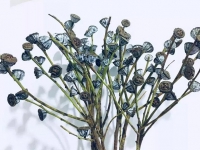 花藝作品中常見的果類花材有哪些？