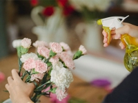 夏天鮮切花進貨后的養護技巧