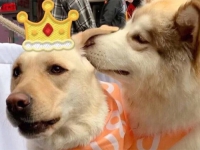 精選20句閨蜜生日祝福語文案