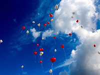 迷霧泡泡玫瑰花語是什么?