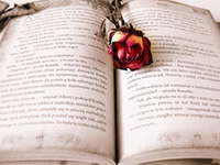 2025日照嵐山區(qū)花店520情人節(jié)鮮花推薦