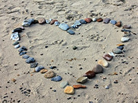 適合圣誕節送女朋友的鮮花有推薦下？