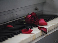 棗陽興隆鎮(zhèn)送花大概要多久？