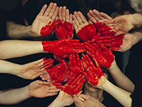 圣誕節情侶間送花指南，圣誕節情侶送什么花？