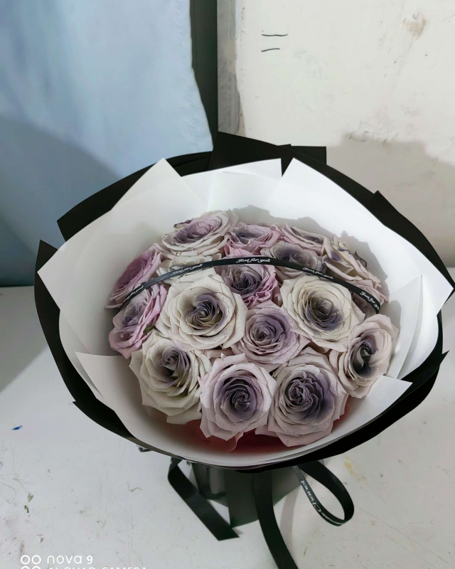 19朵曼塔噴烏梅子醬
