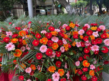 扶郎花混搭開業花籃