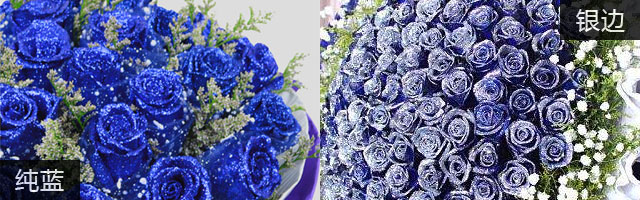 關于藍色妖姬說明配圖 關于藍色妖姬說明配圖