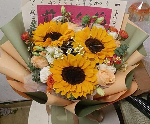 整理:泉州各區縣花店地址大全,找泉州花店地址省心了 整理:泉州各區縣花店地址大全,找泉州花店地址省心了