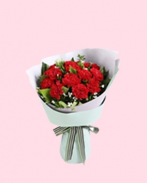 送長(zhǎng)輩/問候關(guān)懷