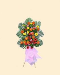 商務(wù)/慶典/開業(yè)花籃